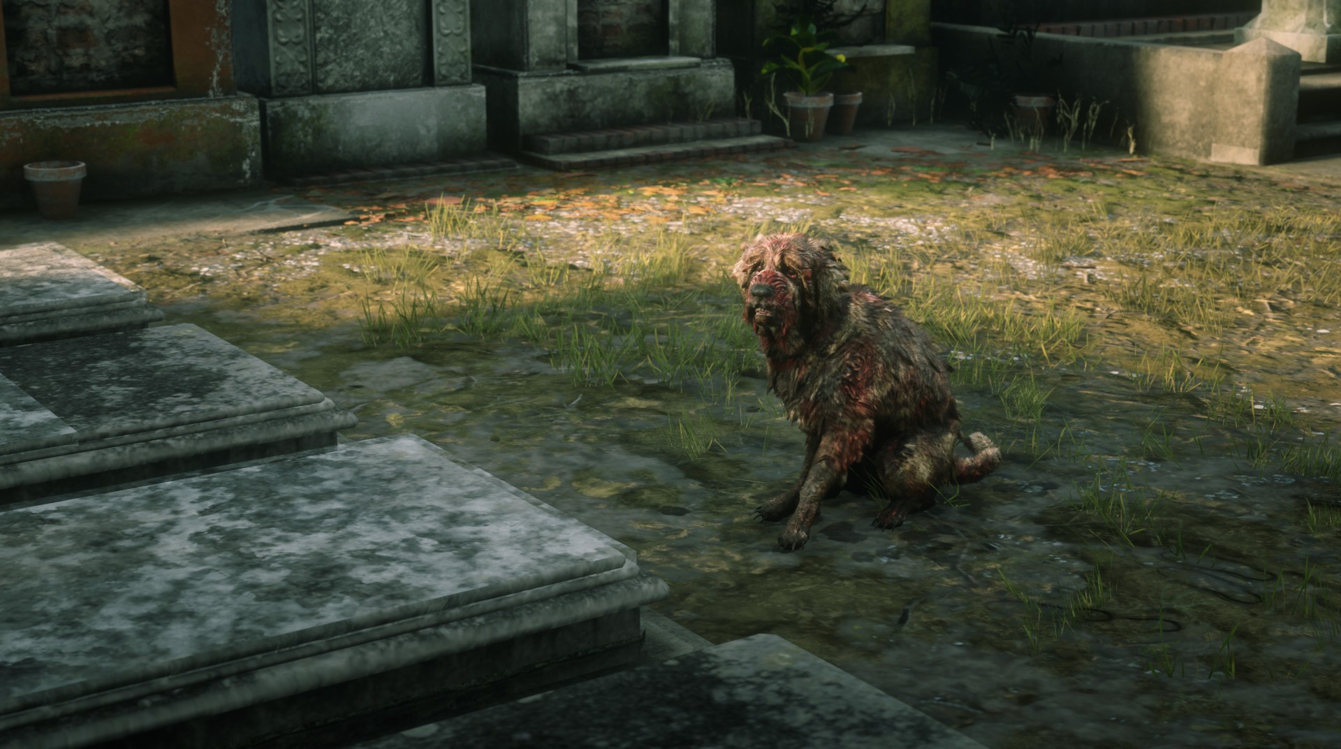 can you get a pet dog in rdr2