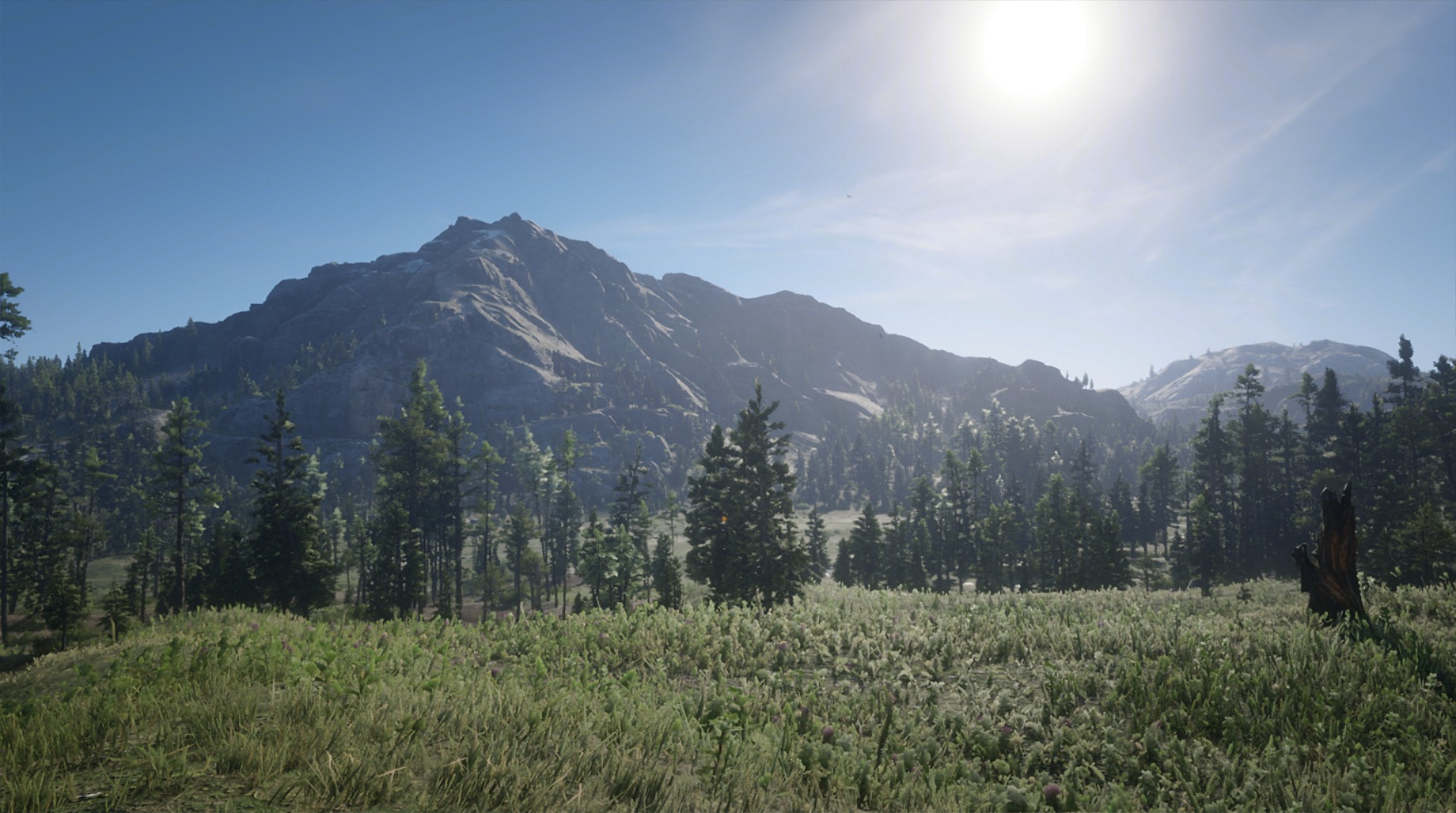 Big Valley by lluizee in Red Dead Redemption 2 - Rockstar Games