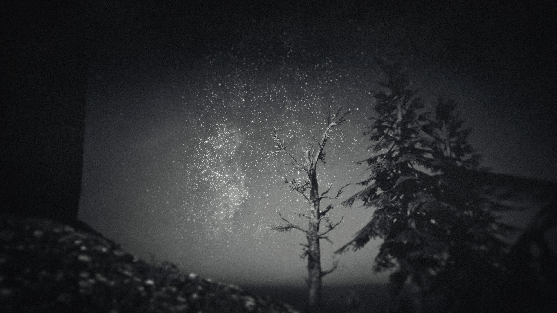 Appleseed Timber Co. by Leu_mir in Red Dead Redemption 2 Rockstar Games Social Club