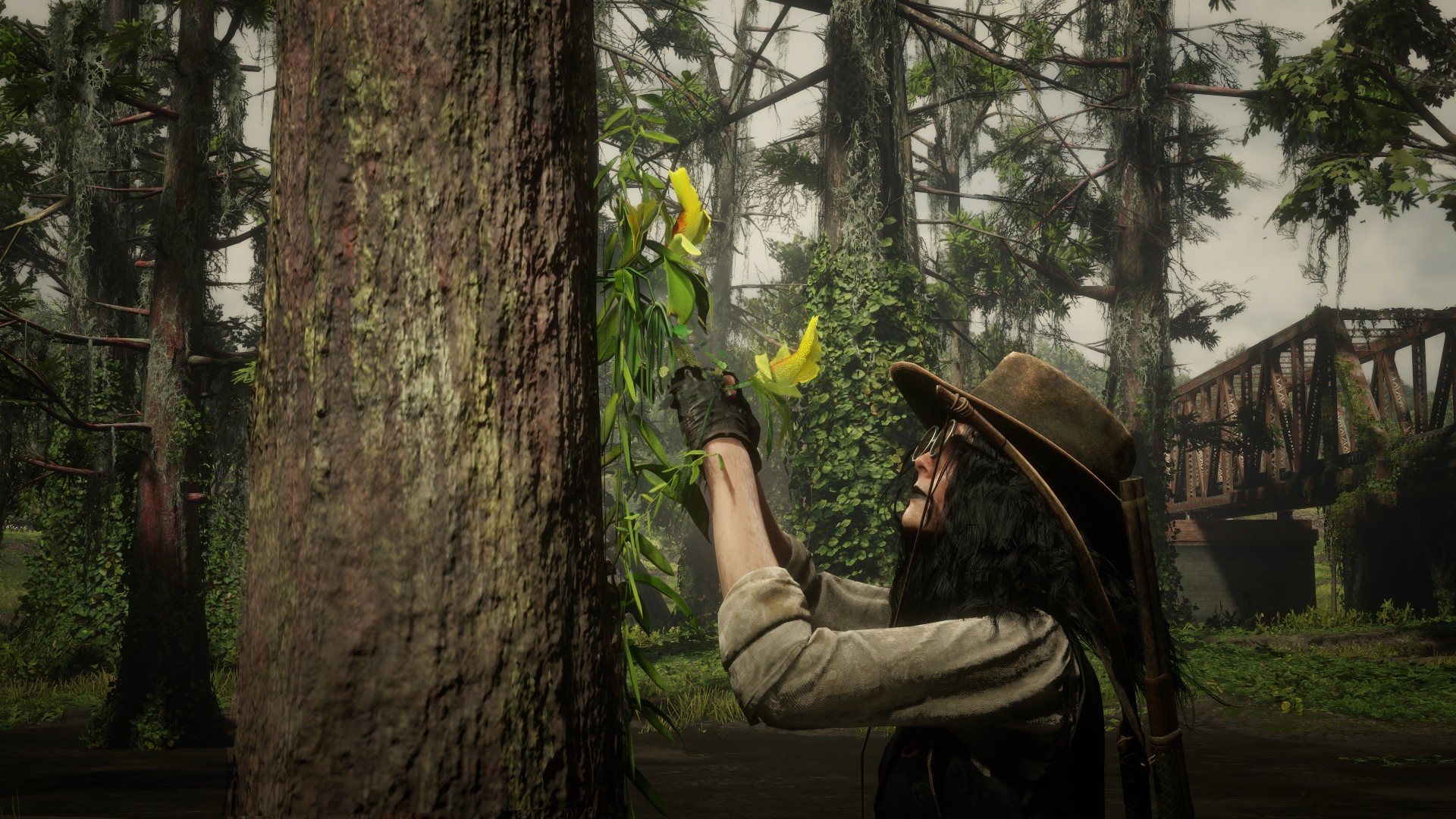 beautiful as a flower by oLayuFKu in Red Dead Redemption 2 Rockstar Games Social Club