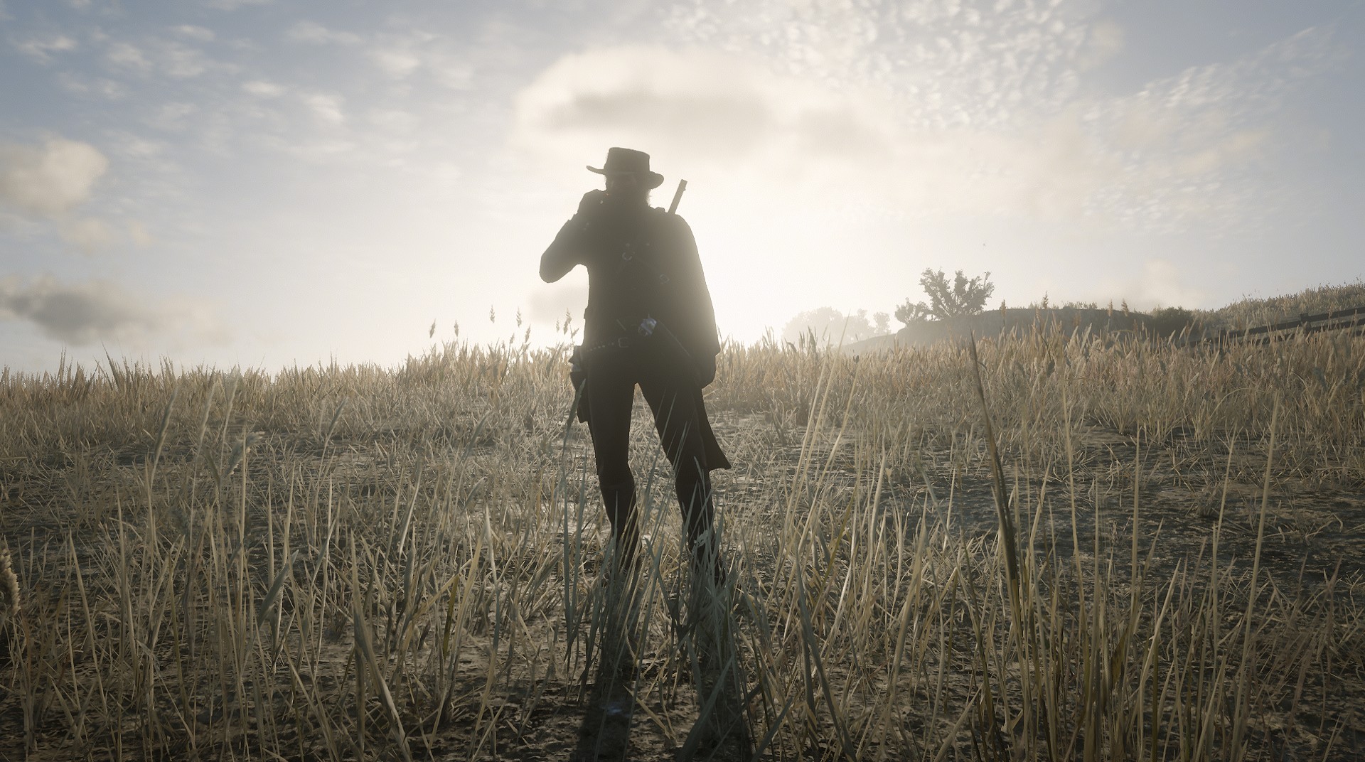 red dead 2 after having to go to the island will i get my old horse and weapons back