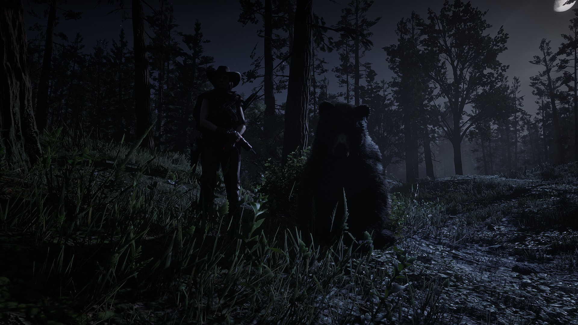 Tall Trees by CrystSam in Red Dead Redemption 2 Rockstar Games