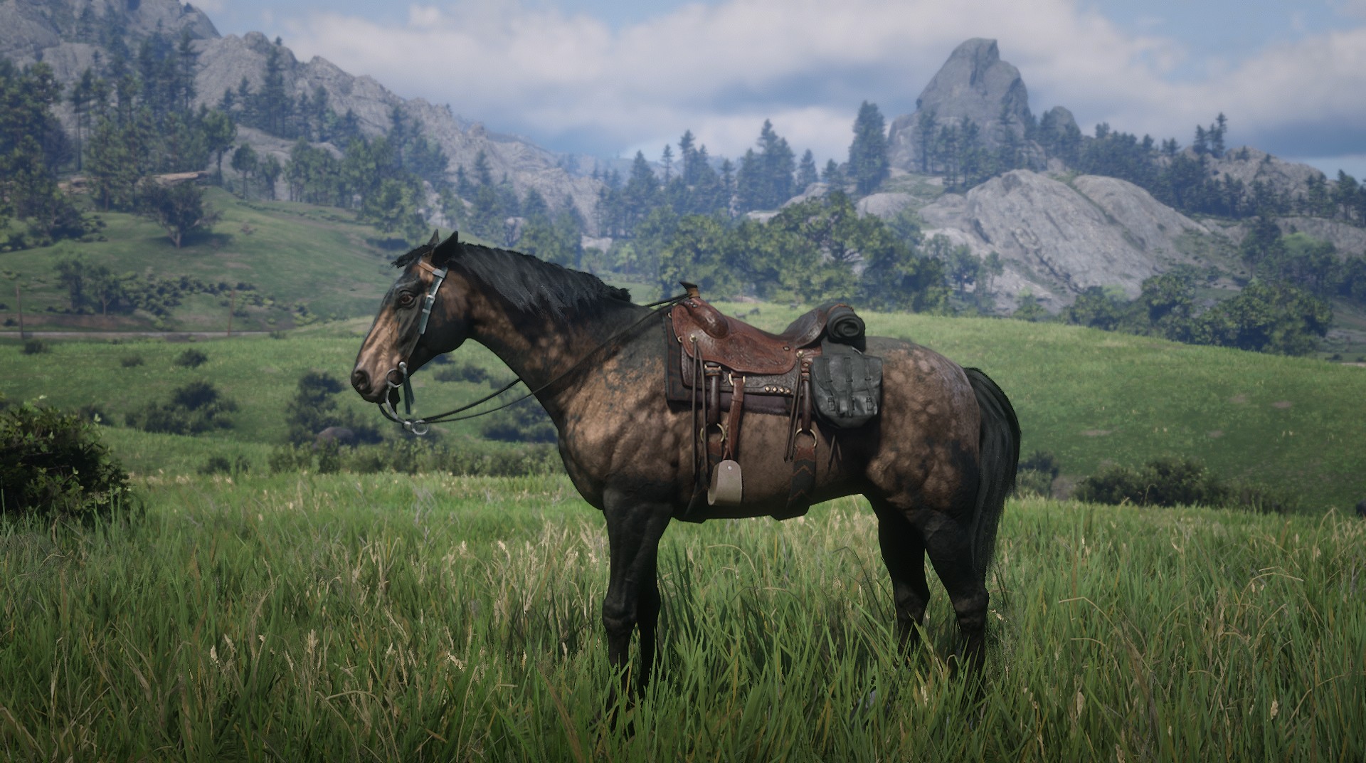 Horse appreciation thread - Red Dead Online - GTAForums