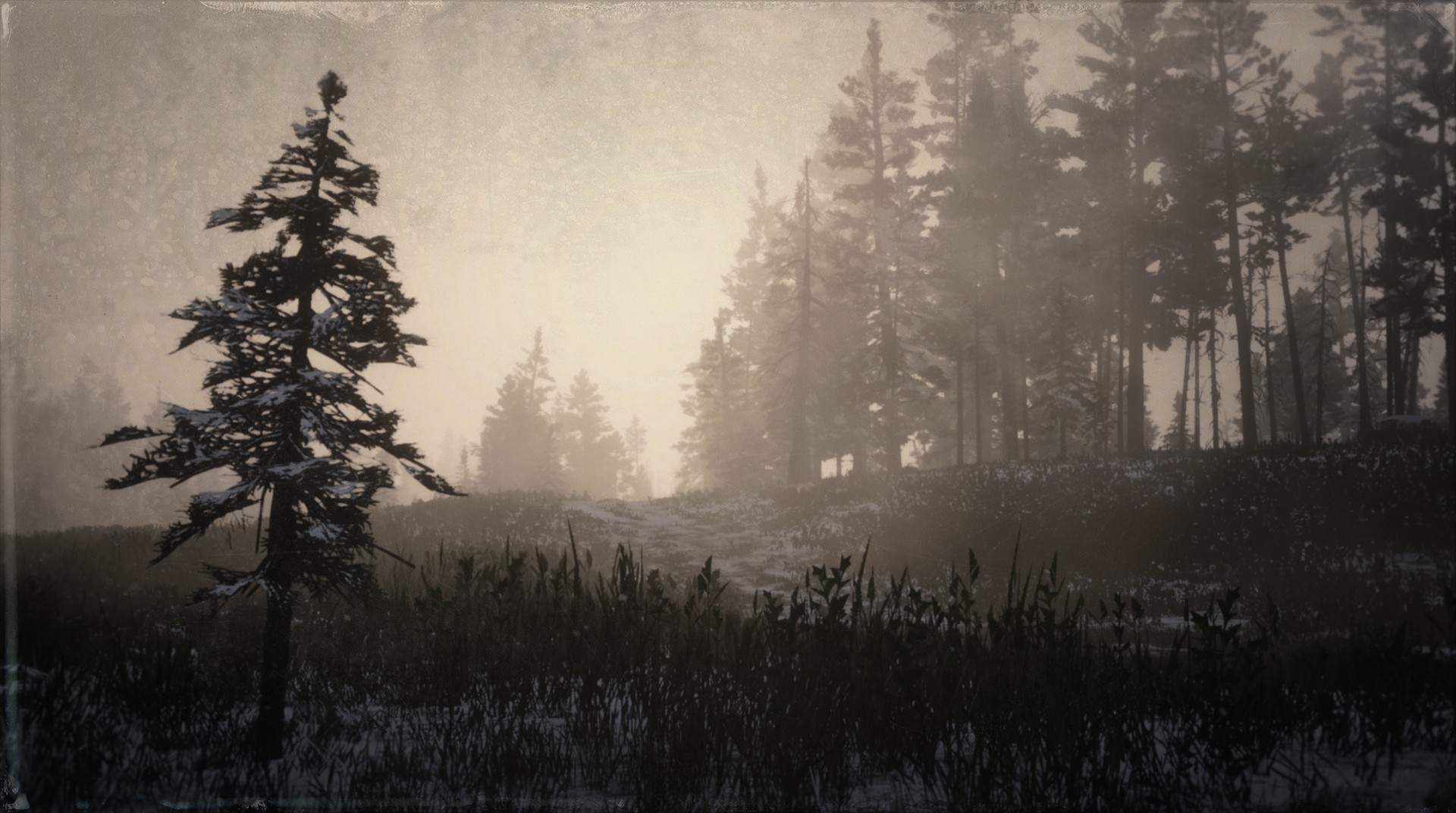 Hanging Dog Ranch by Switchblademamm in Red Dead Redemption 2 ...