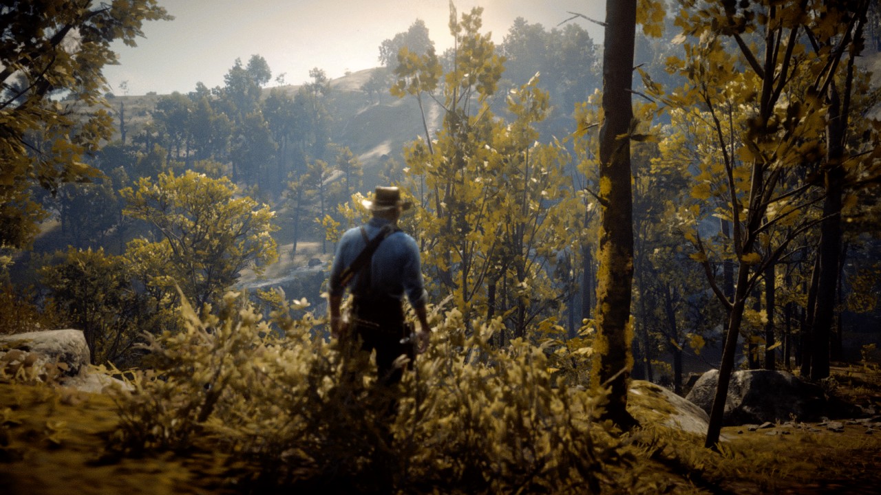 Grey Beaver Rdr Beaver Hollow by Bharath_Bala in Red Dead Online - Rockstar Games