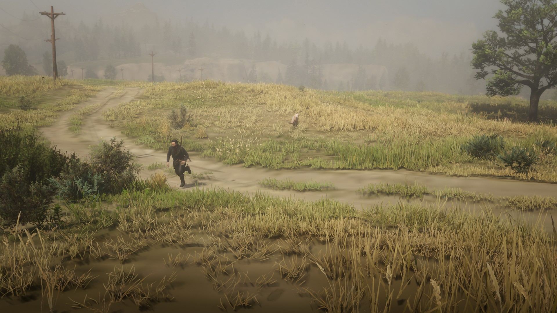 https://prod-cdnugc-rockstargames.akamaized.net/ugc/rdr2photo/wj-rAvw20UWEvuiNi0vJXA/0_0.jpg