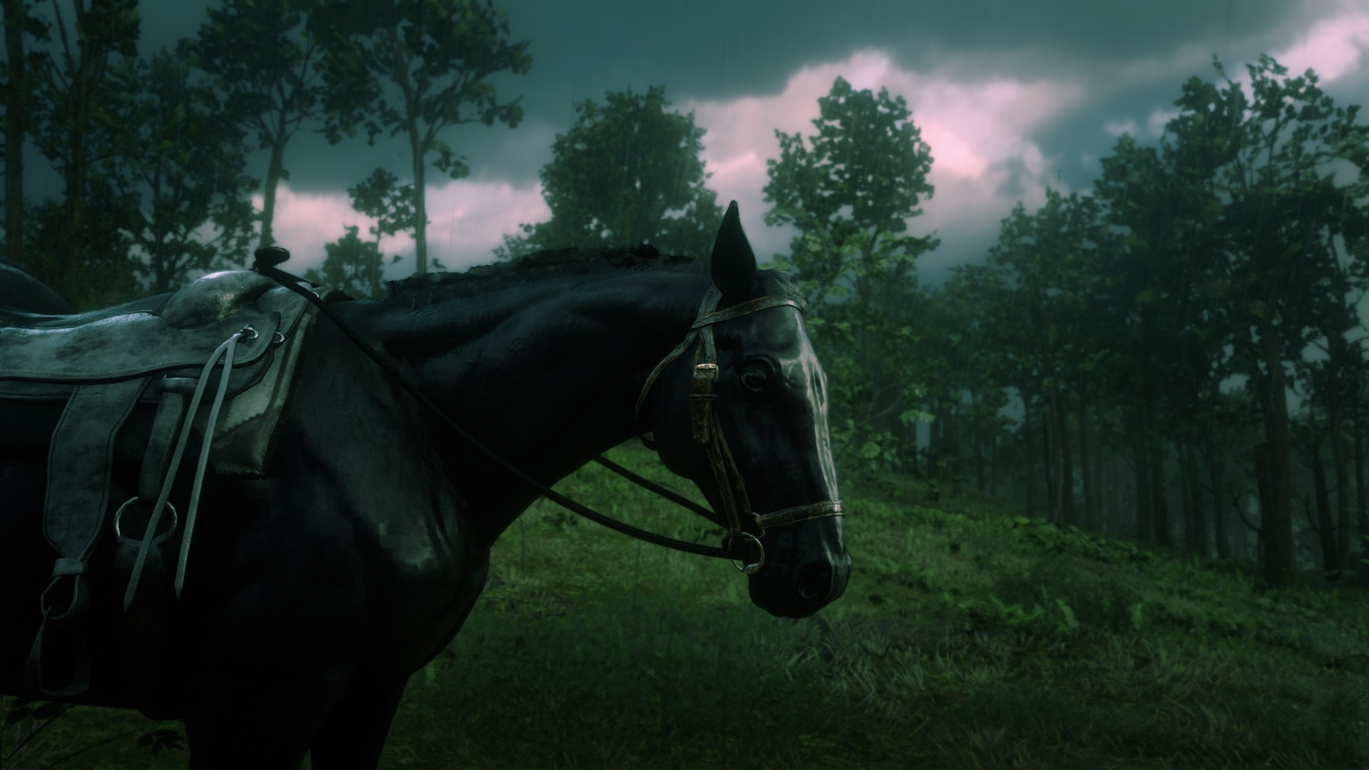 Roanoke Ridge Rdr 2 Roanoke Ridge by IrishButterfly in Red Dead Redemption 2 - Rockstar Games