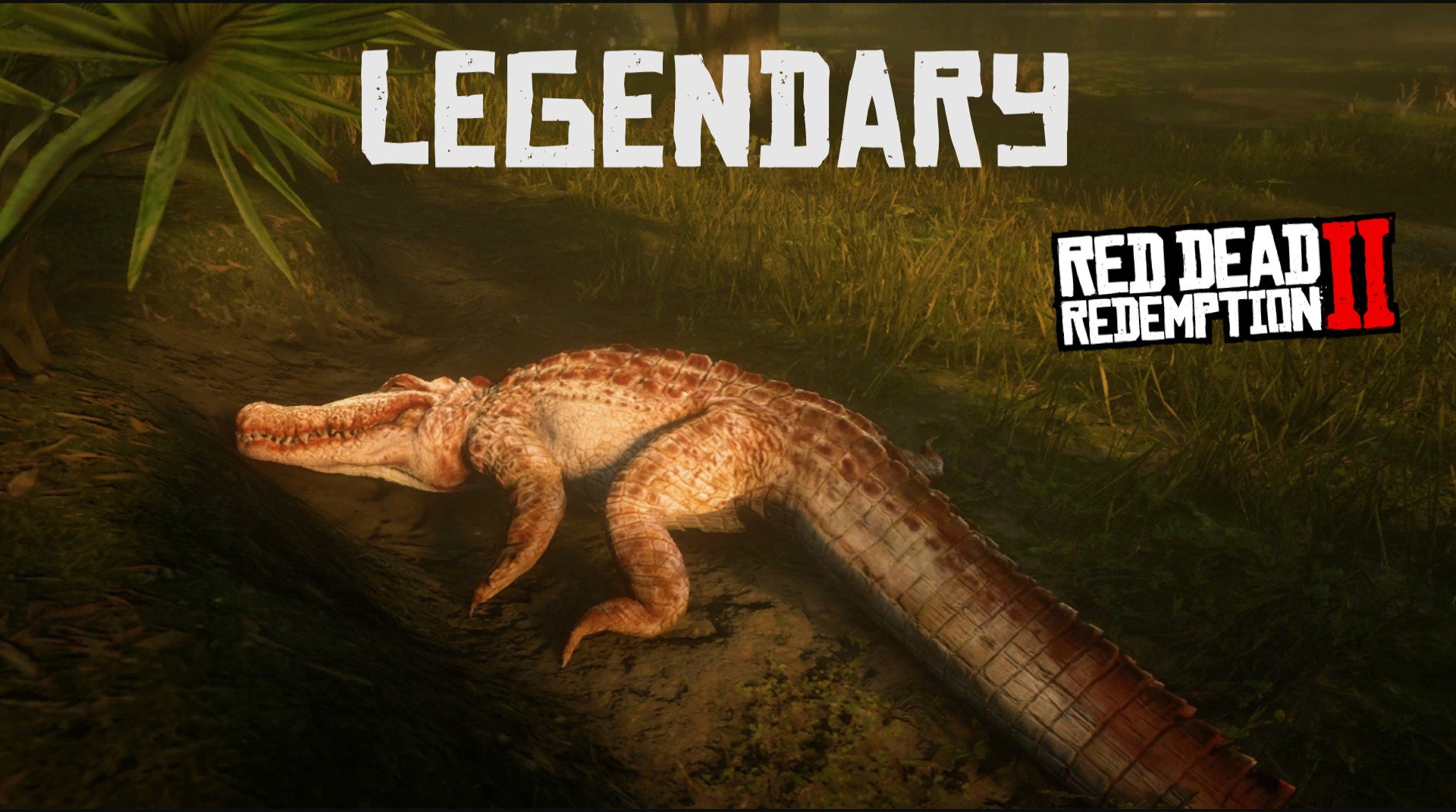 Gator By Indorapter45 In Red Dead Redemption 2 Rockstar Games Social Club   0 0 